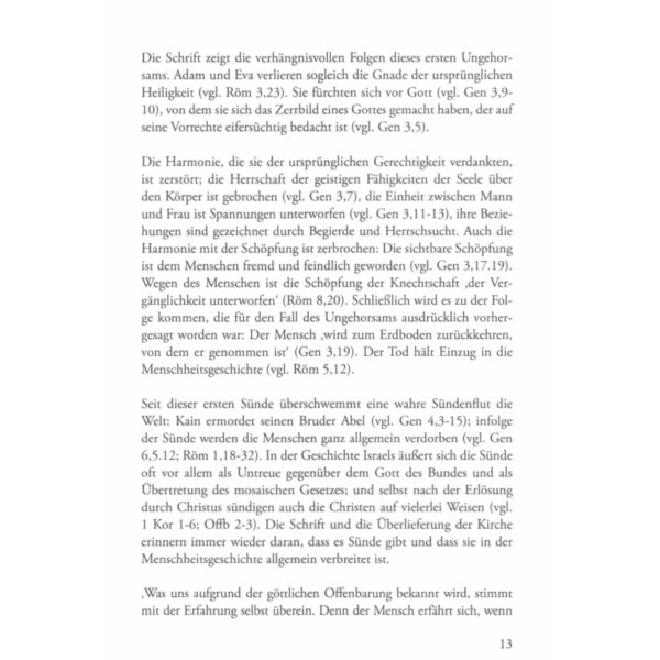 Seite 13 vom Buch "Der Rosenkranz zur göttlichen Barmherzigkeit"