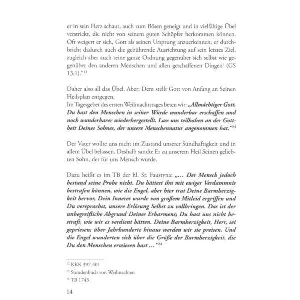Seite 14 vom Buch "Der Rosenkranz zur göttlichen Barmherzigkeit"